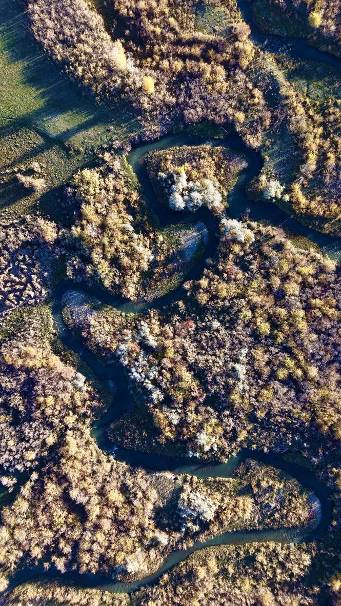A winding creek seen from above, framed by autumn vegetation